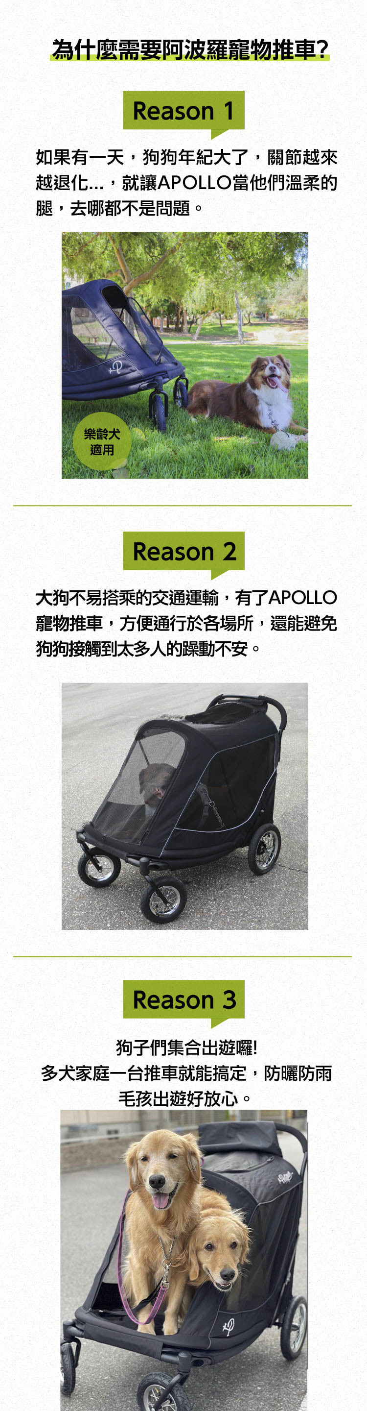 petique apollo BIG DOG STROLLER  百嬌客 阿波羅 大型 寵物 推車 大型寵物推車