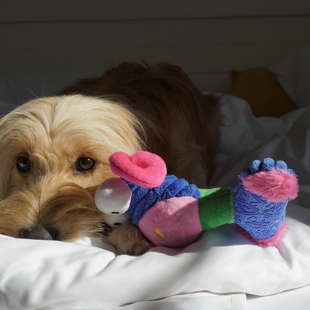 petique chewy monster pet toy 百嬌客 醜怪玩具 寵物 牛魔王