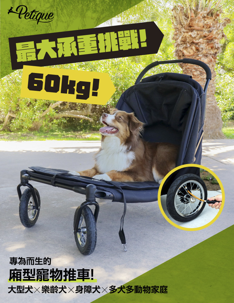 petique apollo BIG DOG STROLLER  百嬌客 阿波羅 大型 寵物 推車 大型寵物推車